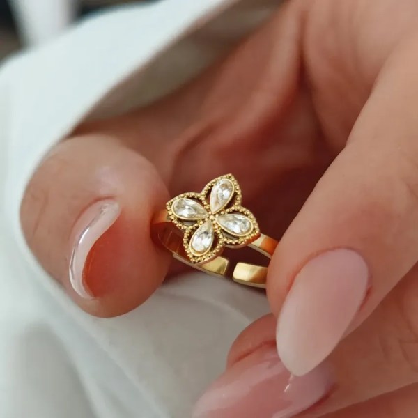 Δαχτυλίδι από επιχρυσωμένο χειρουργικό ατσάλι 14κ PST949